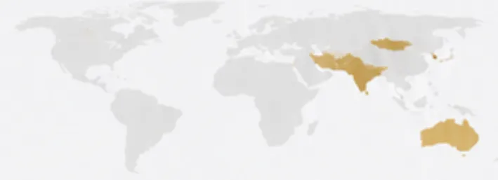 we export to markets
